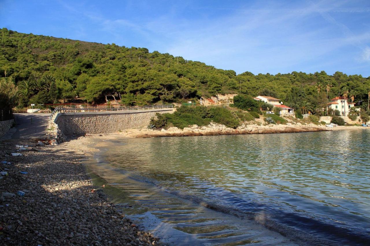 Apartments By The Sea Milna, Vis - 8895 ルカバックス エクステリア 写真